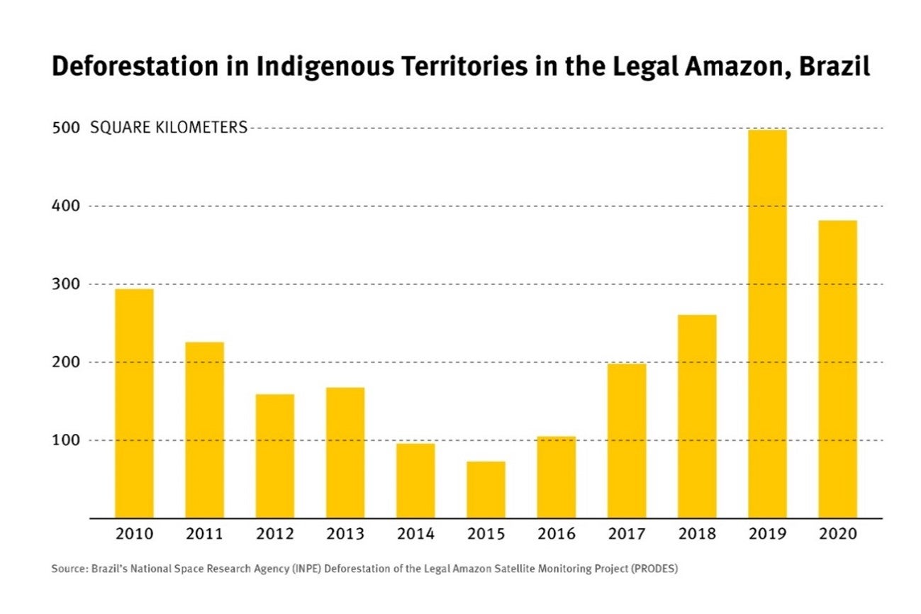 Amazon Grafic
