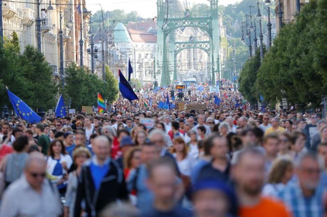 Many protesters attend a rally holding flags