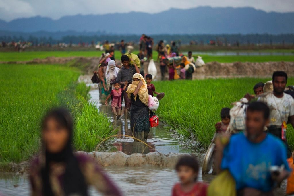 Sejumlah warga Rohingya berjalan kaki melalui sawah setelah melarikan diri dengan melintasi perbatasan dari Myanmar menuju Bangladesh dekat Teknaf, 1 September 2017 