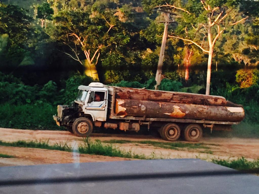 201909ENV_Brazil_pic13