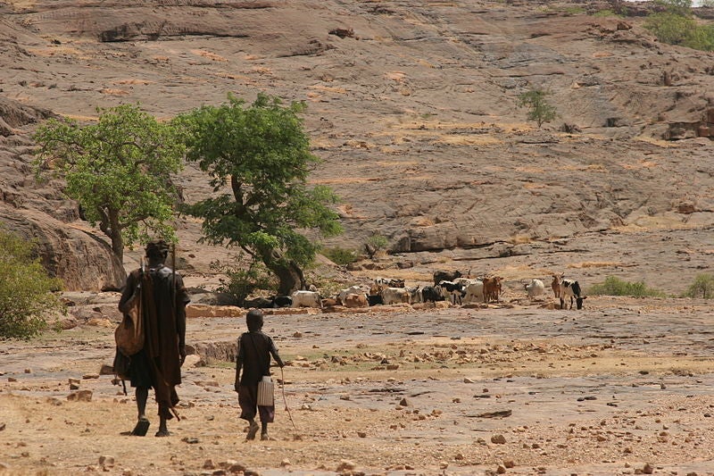  202002AFR_Mali_photos