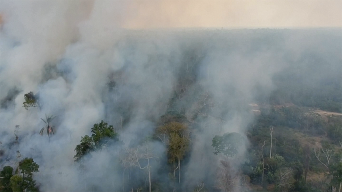 Amazon Fires