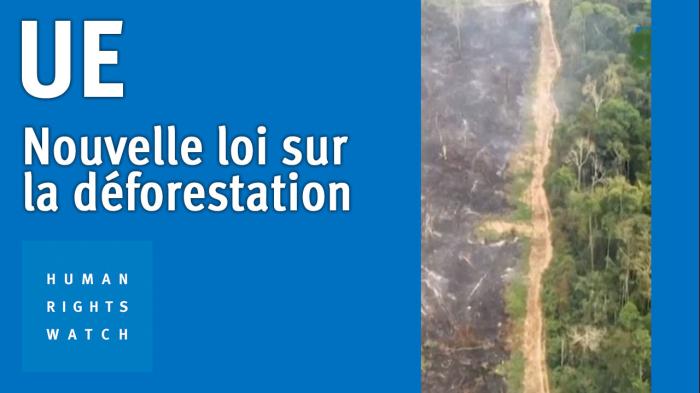 202305EHR_EU_Deforestation_Law_MV_Img_FR