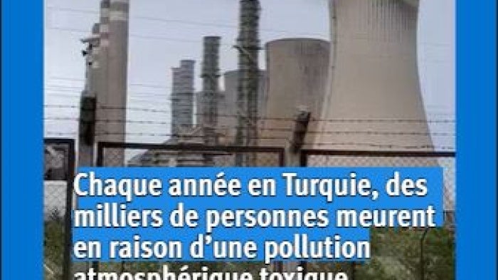 video image fr