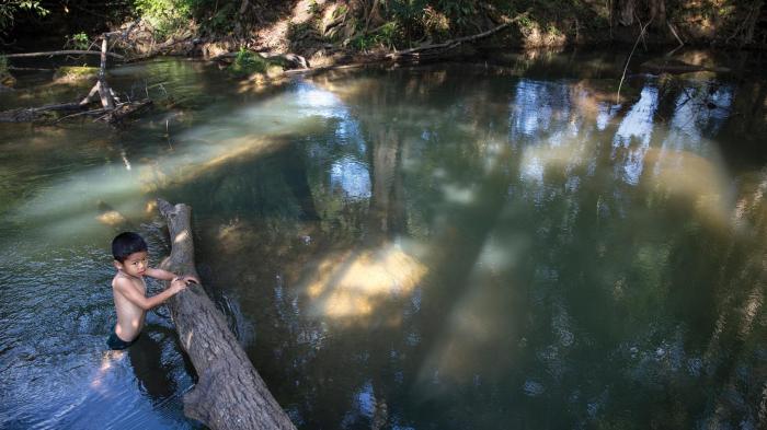 A 7-year-old boy swims in Klity Creek in Kanchanaburi, Thailand. The Pollution Control Department’s environmental tests for 2013 (the last year with all data published) regularly found unacceptably high levels of lead in soil along the creek bank.