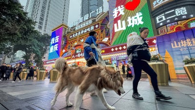 A pedestrian walks a dog in Chongqing, China, on December 17, 2024. 