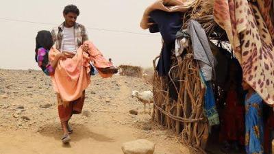 Cluster Munition