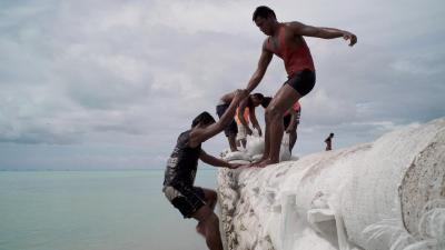 Sea Wall