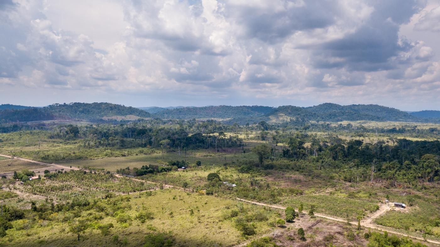  Terra Nossa settlement, where illegal logging takes place, September 30, 2019.
 © 2019 Fernando Martinho/Repórter Brasil