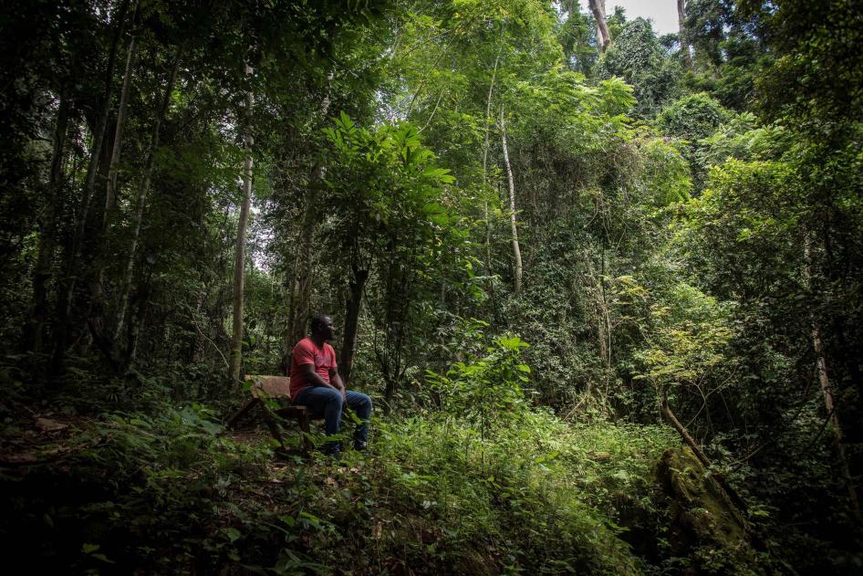 A man sits in a forest