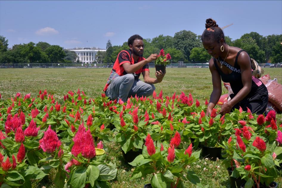 Kehmari Norman, a community garden specialist in DC and owner of Black Flower Market (BLK FLWR MRKT) and a local volunteer tend to a 150-foot garden planted outside the White House to raise awareness for reparations for the legacy of slavery, in Washington, DC. 