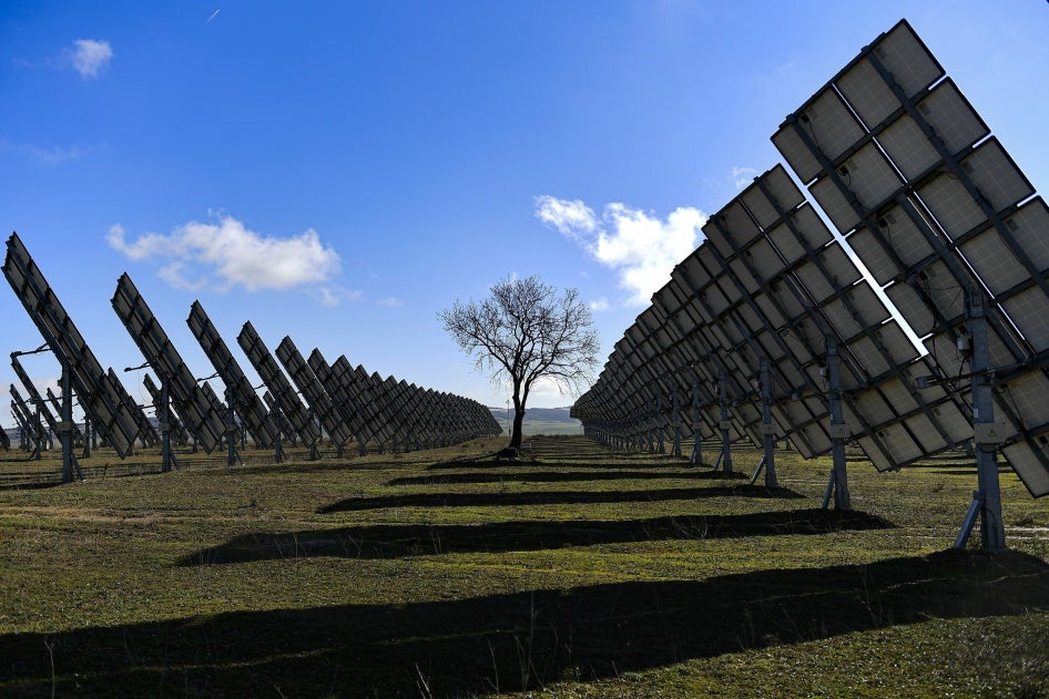 Ein Baum ist am 24. Februar 2023 in Los Arcos, Provinz Navarra, Nordspanien, von Solarmodulen umgeben.