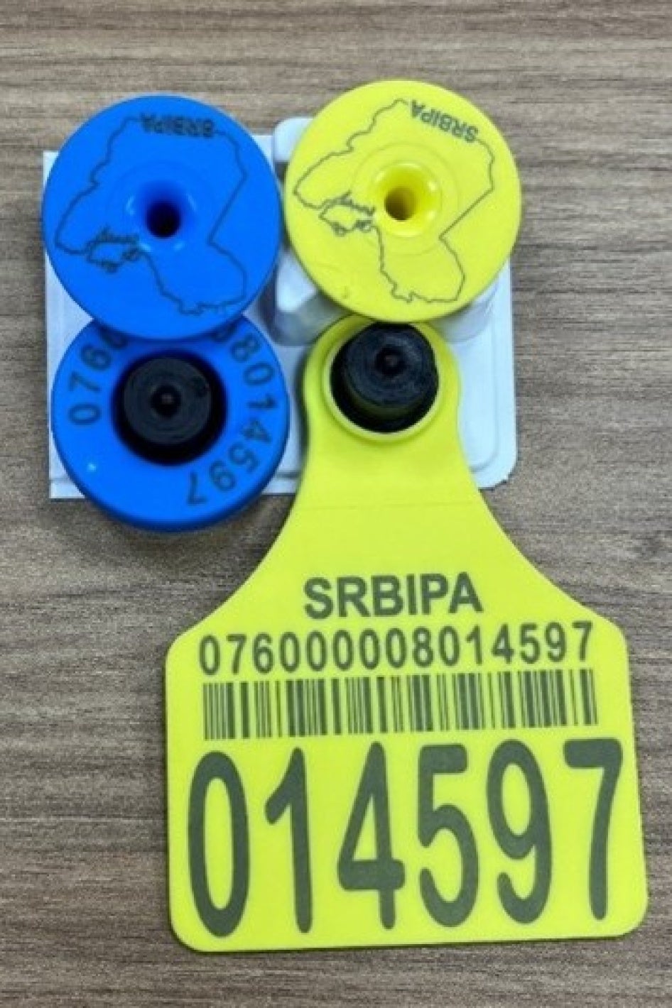 2b2877d8-d87b-4e72-91fc-77e2bf3836a3