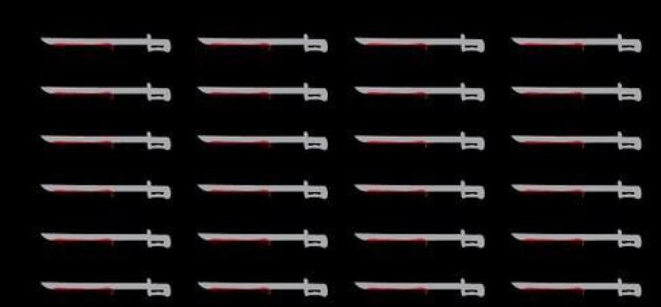 Saudi Executions 