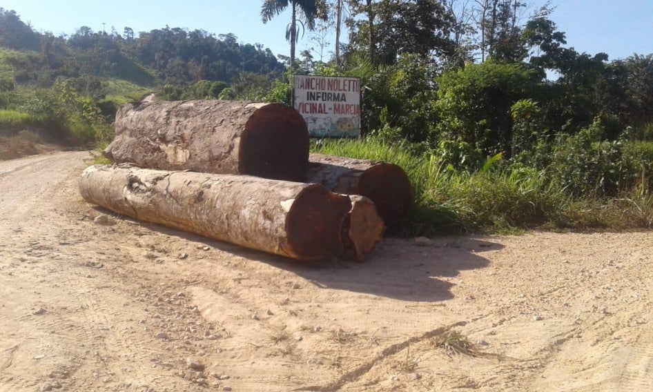 201909ENV_Brazil_pic9