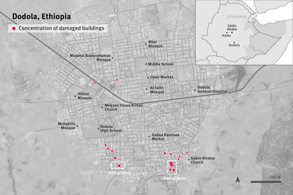 Satellite image showing approximately 30 to 40 buildings affected by fire in Dodola town, West Arsi Zone, Oromia region