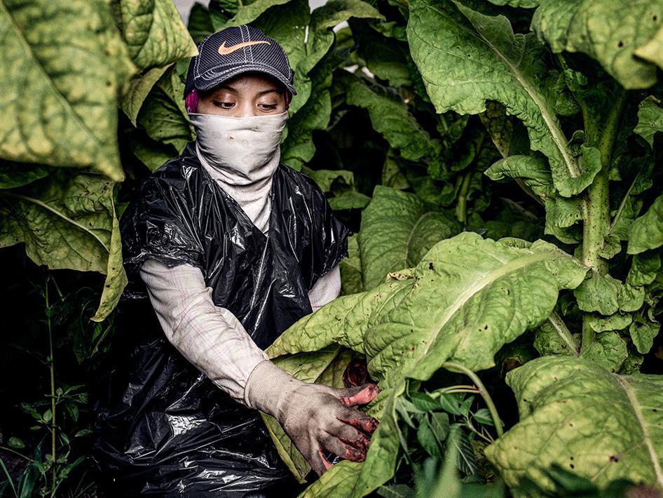 201512_CRD_US_TOBACCO_PHOTO_2
