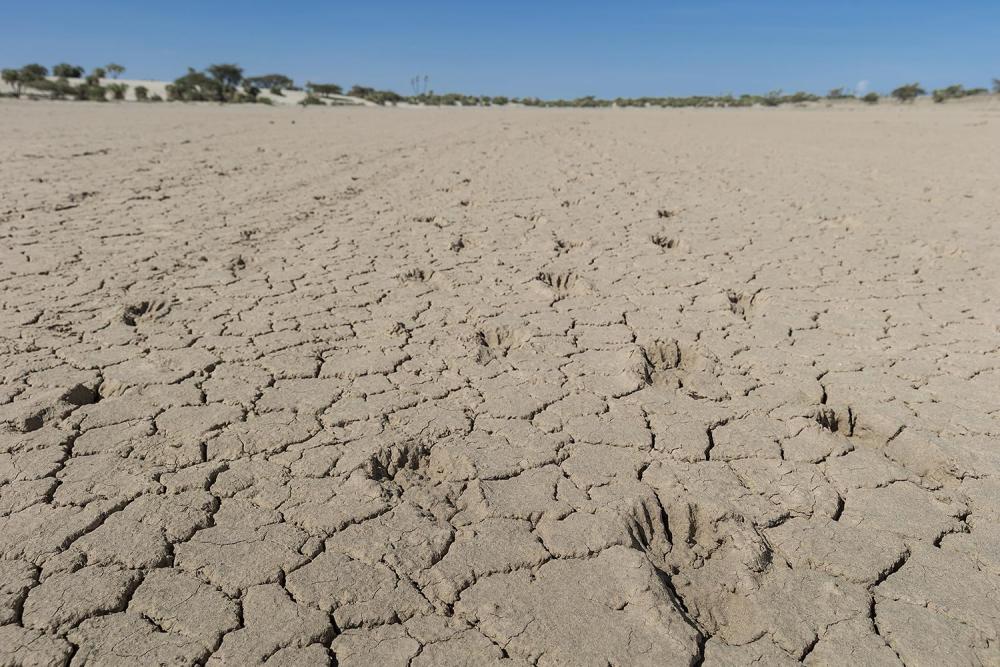 Dry earth