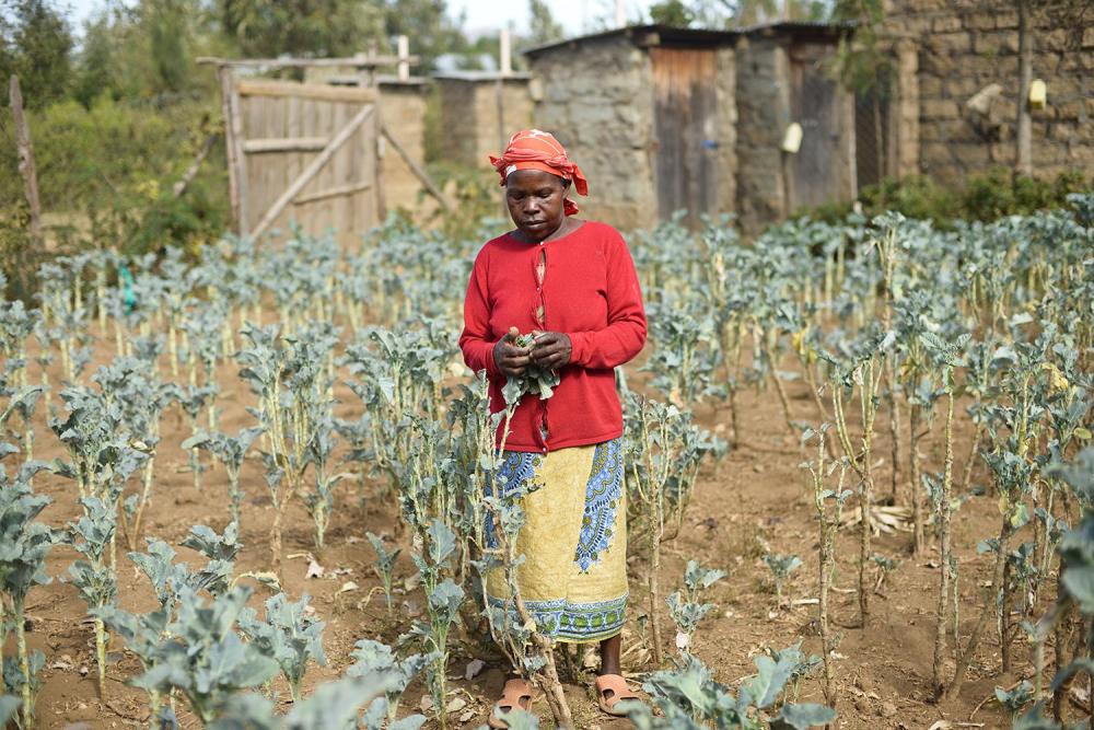 Wangechi N., 60, was raped by men she did not know in December 2007.
