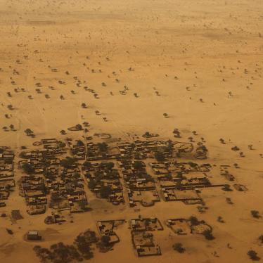 aerial photo of Diffa