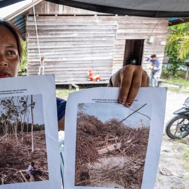 An Indigenous Dayak villager shows pictures of her rubber plantation destroyed by an industrial logging company