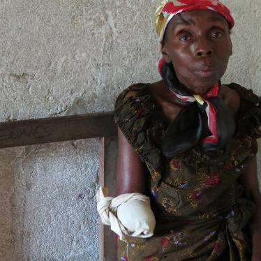 201506AFR_Congo_FDLRMudacumura_photo