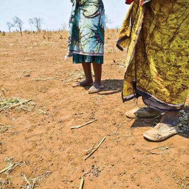 Female farmers resettled to Mwaladzi received land with poor access to water and limited productivity. The compensation package also included a new house.