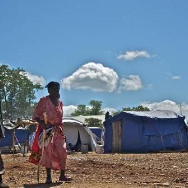 tokwe displaced