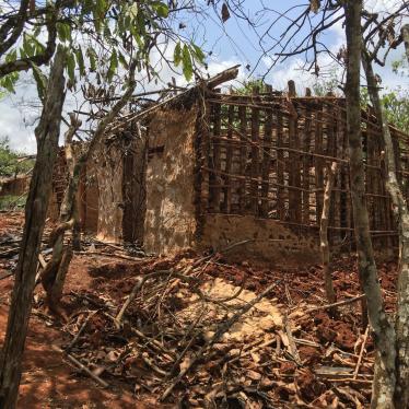 A picture of a burned down house in western Ivory Coast.