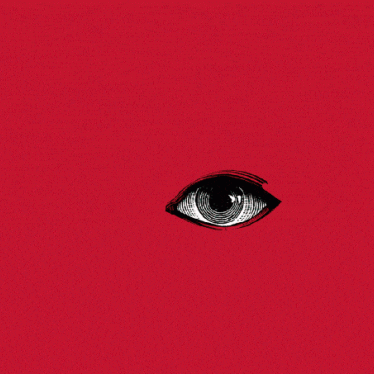 China Big Brother
