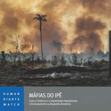 Brazil Report Cover