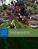 cover of Indonesia report