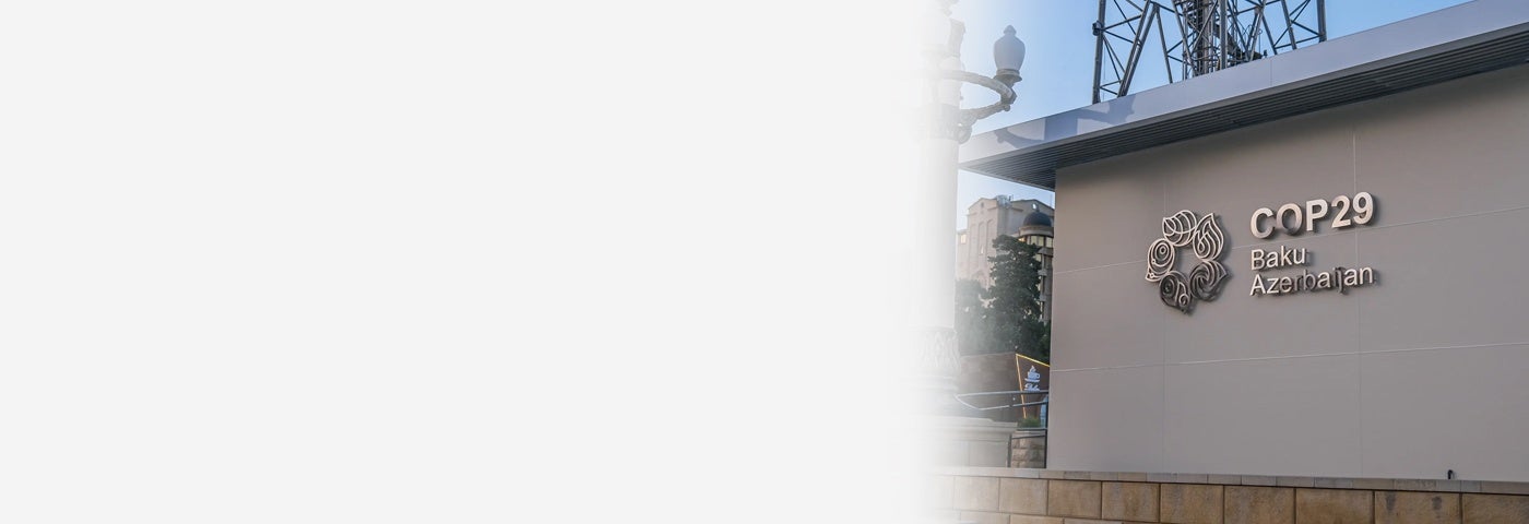 cop29 header image